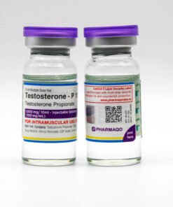 Where to buy Testosterone-P 100 Pharmaqo Labs in UK from official pharmaqolab.uk