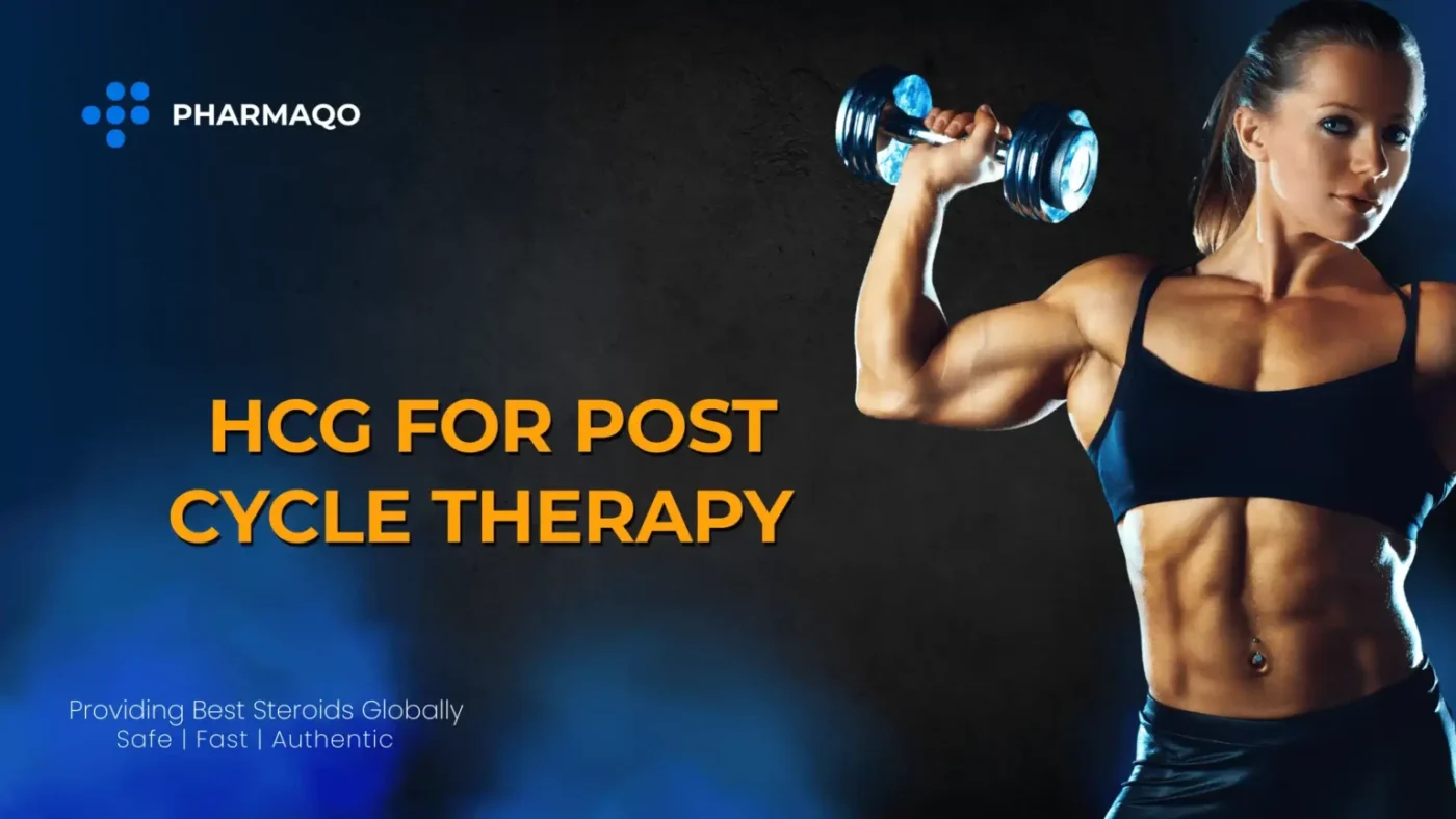 HCG for Post Cycle Therapy